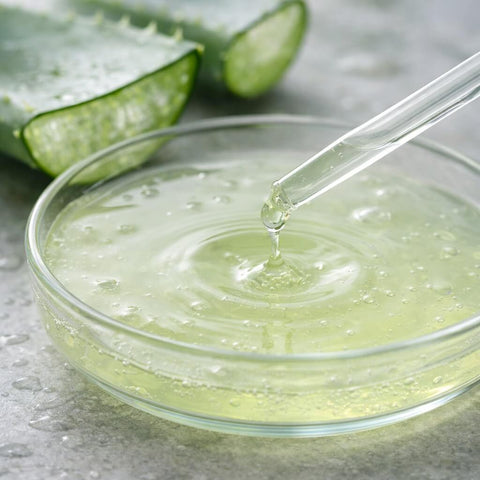 aloe barbadensis (aloe) leaf juice