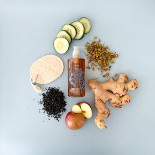 plant loofah set of 3