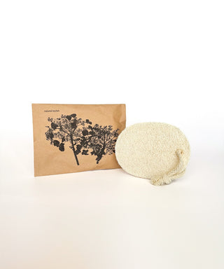 plant loofah set of 3
