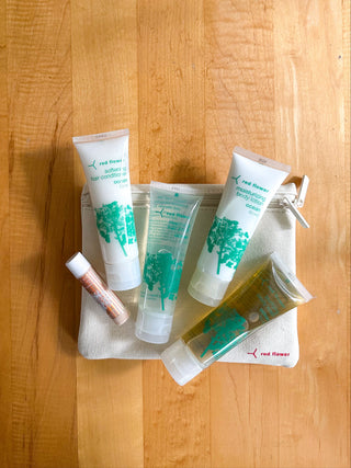 the revitalized traveler kit