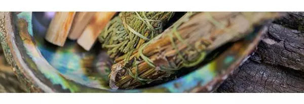 Red Root Ritual On wellness rituals and why we need them – red flower