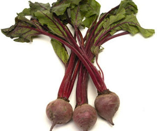 beet sugar