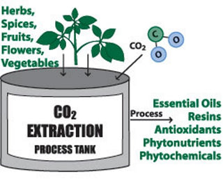 carbon dioxide extraction