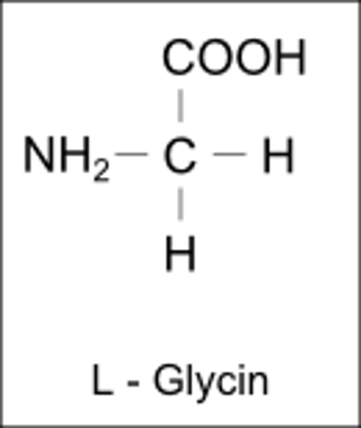 naturally occurring amino acid derived from glycin