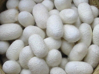 hydrolyzed silk protein