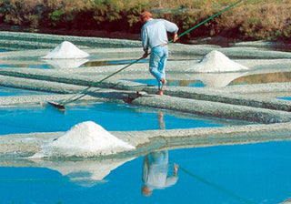 isle of noirmoutier salt