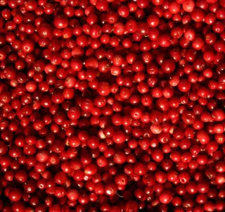 lingonberry seed oil