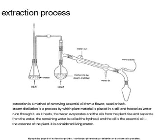 maceration