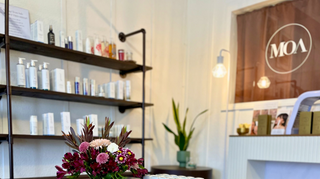 Molly O'Meara: Founder of MOA Derma Lounge on the Art of Intentional Space and Why Every Sense Matters