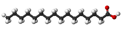 palmitate