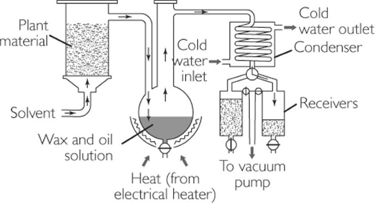 Extraction Saolvant Solvent extraction: Benefits, Uses & Origins | Red Flower