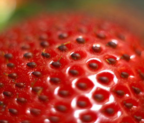 strawberry seed oil