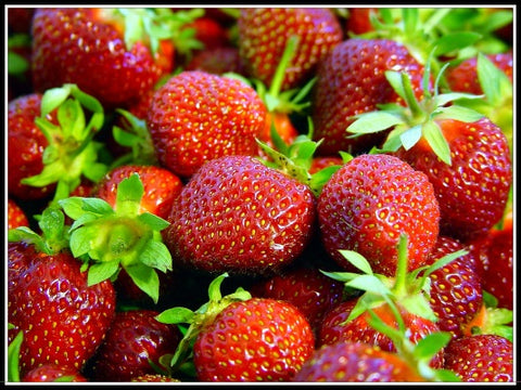 strawberry seeds