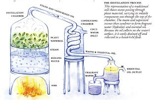 turbo distillation extraction