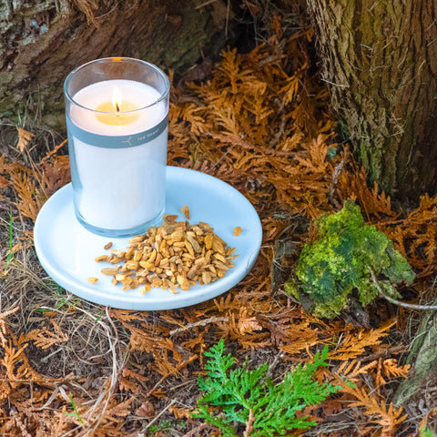 palo santo petal topped candle