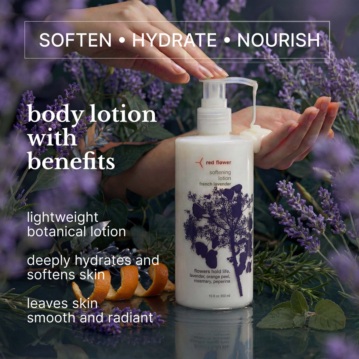 lavender flower benefits for skin french lavender softening lotion – red flower