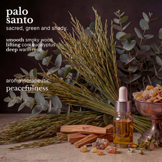 palo santo smoothing hair conditioner