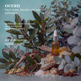 ocean hydrating hair wash
