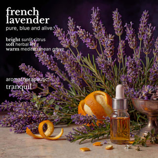 french lavender purifying body wash