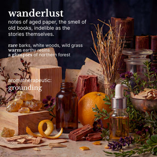 wanderlust cleansing hand wash
