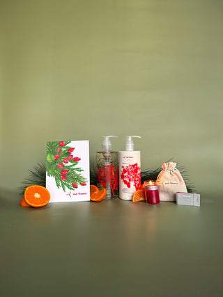 oranges for christmas gift set